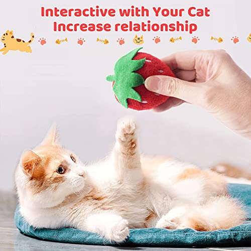 Mini Cat Catnip Toys for Indoor Cats 10 Pack