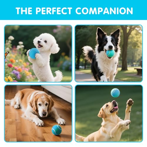 PHOEPET 6-Pack Tennis Balls for Beginner Training Practice- Bulk Dog Balls - color: Blue-6 Pack, size: Medium 2.5"- 6 Pack