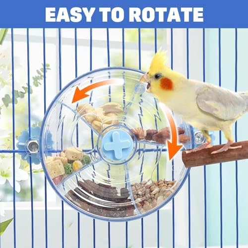 BNOSDM Bird Foraging Toy, Enrichment Parrot Puzzle Toys Transparent - color: Blue
