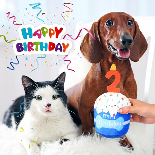 Dansydaisy Dog Birthday Cake Toy Squeaky Plush Gift,2nd,Blue - color: Blue, style: 2nd