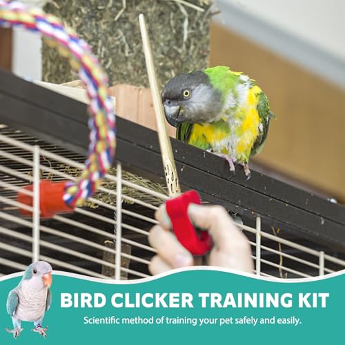 Parrot Training Clicker with Target Stick, Getting Started Bird Clicker Training Kit, All Bird Breeds Training Stick Foster Discipline and Behavior Training, for Parrots Birds Lovers