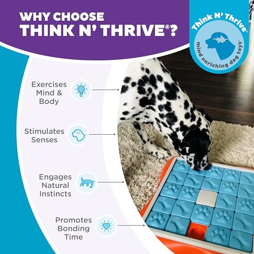 Outward Hound Nina Ottosson Challenge Slider Dog Toy Treat Puzzle, 14.7" - color: Challenge Slider (Orange, Blue), size: 1 Count (Pack of 1)