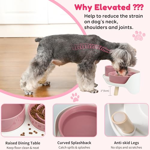 Elevated Slow Feeder Dog Bowls with Splash Proof Stand, Slow Eating 5X - color: Pink