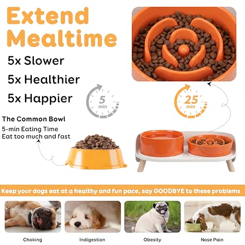 Elevated Slow Feeder Dog Bowls with Splash Proof Stand, Slow Eating 5X - color: Orange
