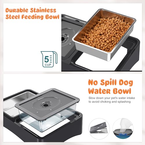 Decflow 2-in-1 Elevated Dog Bowls with 4 Height Adjustable Raised Stand - color: 2-in-1 Light Black