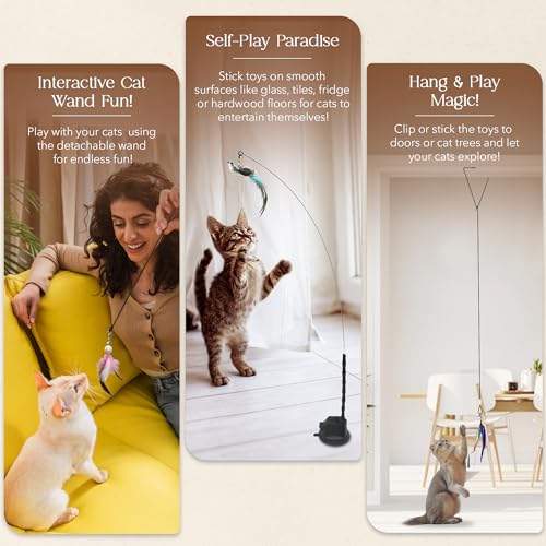 Interactive Bird Simulation Cat Feather Toy Set - Suction Cup Cat Toys for Indoor Cats, Natural Feathers, Bells & Easy Clip-On, Perfect for Indoor Cats - 2 Free Pads, Suctions to Ground - style: All U Need - Cat Feather Toy Kit, 14+2 Pcs