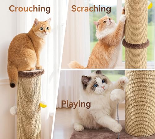 5-Inch Sisal Cat Scratching Post, 36" Tall Scratch Tower, Brown - color: Brown Upgrade