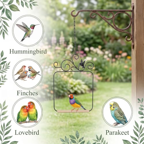 Hummingbird Swings and Perches 11.6x8.1in Humming Bird Swing