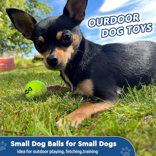 INSUM Tennis Balls for Dogs, 12 Pack Colorful Dog Toys Balls - size: Small