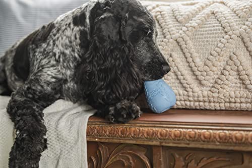 Harry Barker Durable Rubber Treater Toy - XL - color: H) XL Treater (Blue)