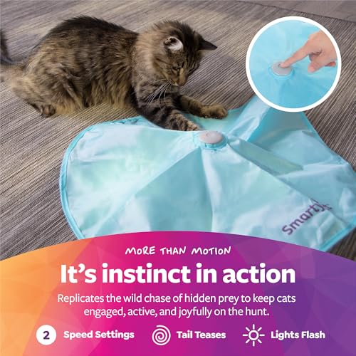 SmartyKat Electronic Motion/Moving Toys for Cats & Kittens, Battery Powered, Mimics Motion of Real Prey, Fun & Interactive Play - Multiple Styles - style: Hot Pursuit