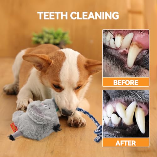AUSCAT Plush Dog Rope Toy, Durable Squeaky Dog Toys for Puppy Small Medium Dogs (Not for Aggressive Chewers), Elephant - color: Elephant