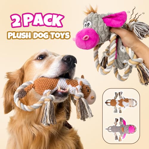 2-Pack Squeaky Crinkle Plush Dog Toys
