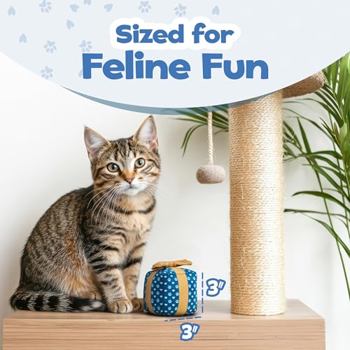 PUPROAR Gift Box Cat Birthday Toy, Plush Catnip & Crinkle Kitten Gift for Indoor Cats & Kittens