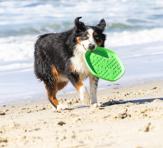 PROJECT HIVE ·PET COMPANY· Dog disc - Great for Fetch - Includes a Lick mat on Back - Floats in Water, Smooth Glide - Made in The USA (Tropical Coconut) - color: Tropical Coconut