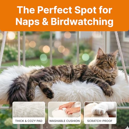 Large Cat Window Perch with Industrial-Grade Suction Cups - Solid Pine Wood Hammock Bed, Soft Cushion - 42 lb Capacity for Heavy Cats Inside - color: Brown/White, size: X-Large