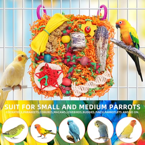 Bird Toys for Small & Medium Parrots - Natural Foraging & Shredding Cage Hanging Toys with Seagrass Mat, Starfruit, Loofah Slices for Budgies, Cockatiels, Lovebirds, Conures (2 PCS) - size: 2 PCS