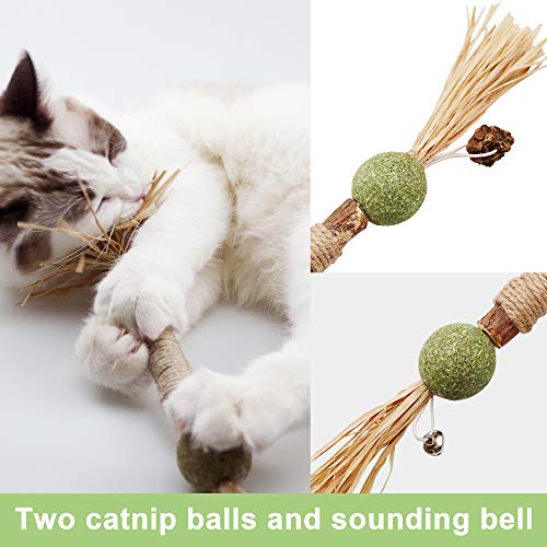 PAZ'S GIFT Catnip Toy Cat Toys Catnip Toy cat chew Toy cat Kicking silvervine Stick Teeth Cleaning Cute Kitten Teething Indoor Interactivecat Dental Care Matatabi (Catnip Balls) - size: Catnip Balls