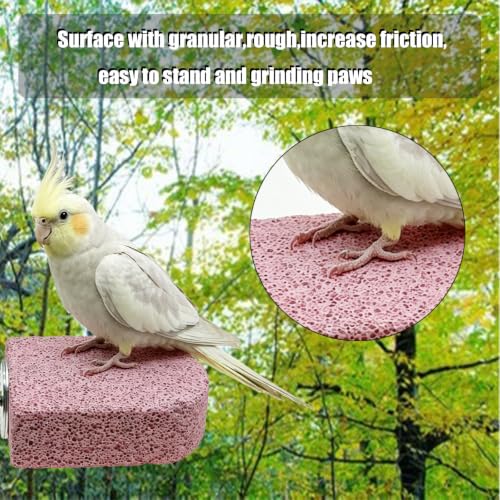 4 PC Bird Perch Stand Pet Teeth Grinding Stone for Small Birds - color: Cyan-Purple-Pink, size: Small