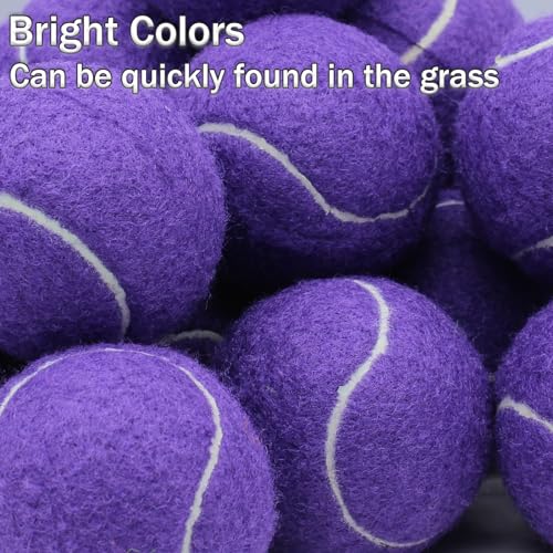 SHYUJAJIE Tennis Ball,20 Pack Practice Balls Bulk,Dog Balls with Mesh Bag - color: Purple
