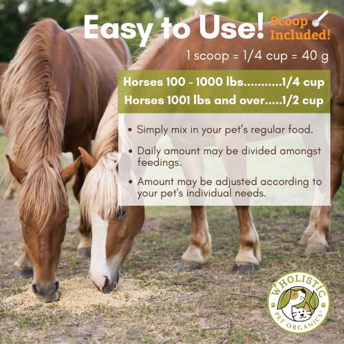 Horse Supplement for Total Body Health, 45 Day Supply for 1000 lb Horse