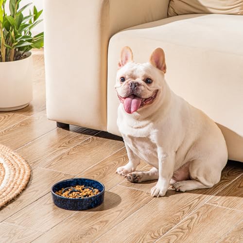 vancasso Slow Feeder Dog Bowl, 0.6 Cup Ceramic Puzzle Dish for Small Breeds - color: Blue, size: S - 0.6 Cups