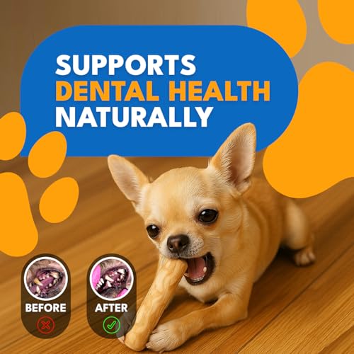 Coffee Wood Dog Chew, 3-Pack Natural Puppy Teething & Chew Toy, XS - size: Extra Small - XS