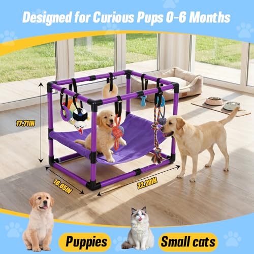 Purple Puppy Play Gym with 8 Hanging Toys - color: Purple, size: 22.28x16.65x17.71in