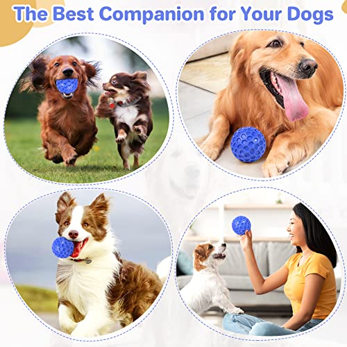 DISSKNIC Tough Squeaky Dog Balls Puppy Toys, Interactive Dog Toys for Small Dogs, Puppy Chew Toys for Teething and Relax, Dog Chew Toy Small Balls Dog Toys for Small Breed, Outdoor Dog Toys for Dogs - color: Blue, size: Small