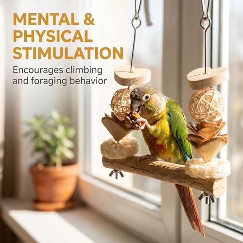 Bird Swing Perch with Chew Toys for Small Parrots, Cage Accessory