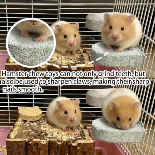 4 Pack Hamster Rat Lava Ledge Platform Teeth Grinding Chewing Toy (S,Grey)