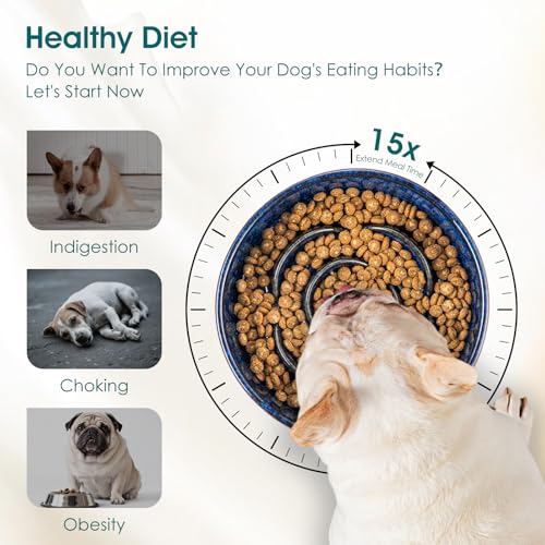 vancasso Slow Feeder Dog Bowl, 0.6 Cup Ceramic Puzzle Dish for Small Breeds - color: Blue, size: S - 0.6 Cups