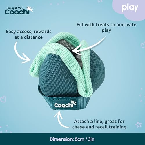 Coachi Puppy & Mini Chase & Treat - Great for Play and Chase - style: Chase & Treat