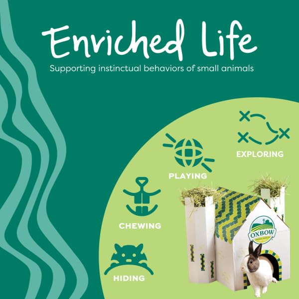 Oxbow Enriched Life Celebration Cupcake - Toy for Rabbits, Guinea Pigs, Hamsters, Rats - style: Celebration Cupcake