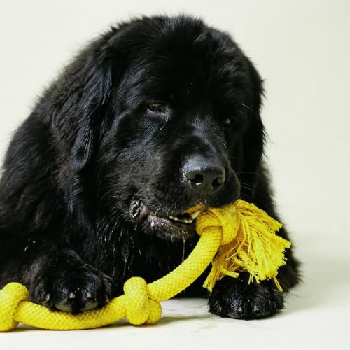 Playology Tug Rope Dog Toys for Large Breed Dogs - Mega Size, Chicken Scent - size: Mega, style: Chicken
