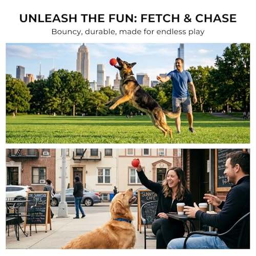 3.5''Durable Squeaky Dog Ball for 25-80lbs Aggressive Chewers - color: 1 PC-Beef-Red