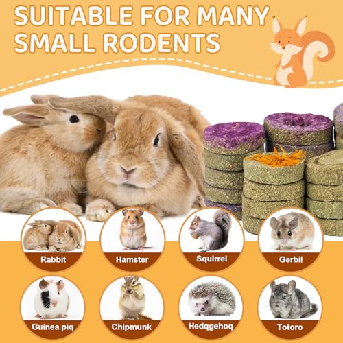 30PCS Guinea Pig Hay Grass Cake Food Set Natural Rabbit Chew Toys for Teeth - size: 30Pack-grass cake