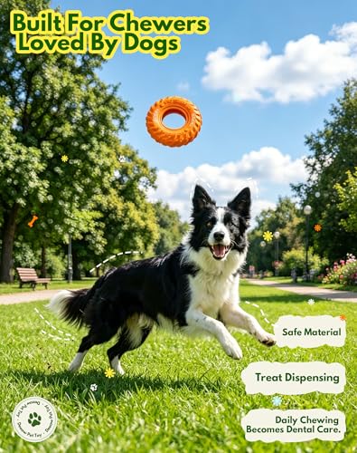 Deeow Dog Chew Tire Toy, Natural Rubber Puppy Teething Ring-6.3'' Orange - color: Orange Only