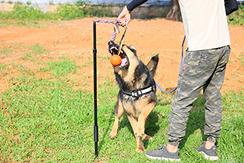 Dog Retractable Interactive Training Tug Toy - Pet Obedience Training Tug - Stable Exercise Metal Pole & Spring Rod with Replaceable Chew Rope for Small/Medium/Large Dogs