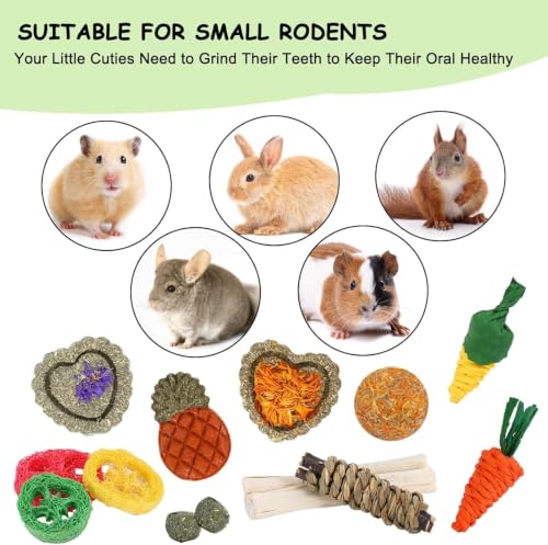 Bunny Toys, 21PCS Rabbit Chew Toys for Teeth, Guinea Pig Natural Treats - size: 21Pack-small Set