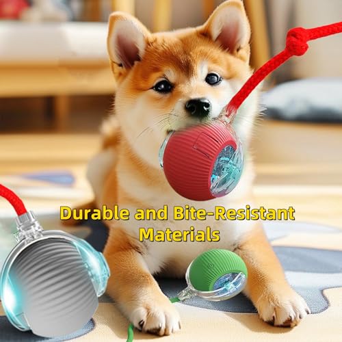 Interactive Dog Cat Toy Ball, Automatic Moving Bouncing Rolling, with Replacement Tail, Pet Smart Chase Ball Rechargeable, Enrichment Toys for Bored Indoor Adult Cats/Dogs - color: Red