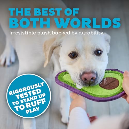 Outward Hound Tough Skinz Durable Chew Plush Squeaky Dog Toy, Avocado, 9" - color: Avocado, size: Medium