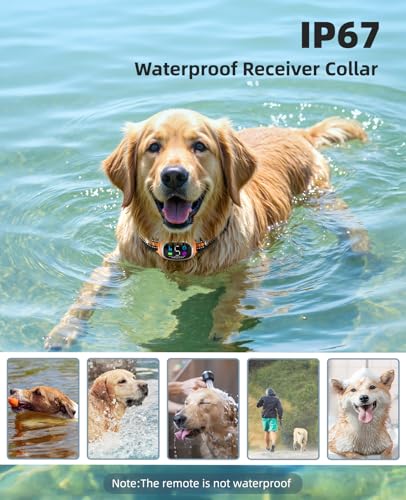 2-in-1 Dog Shock Collar and Bark Collar for Dogs – 3300FT Dog Training Collar with Remote, IP67 Waterproof e Collar with Anti-Bark/Beep/Vibration/Shock Modes for Small Medium Large Dog(8-120Lbs) - color: Orange