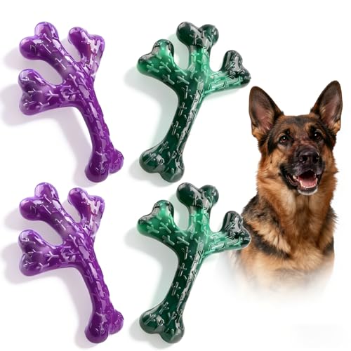 Frienhund 4 Pack (Cactus) Indestructible Tough Dog Toys for Aggressive Chewers: Beef Flavored Chew Bone for Large Dogs 20-90 lbs, Long Lasting & Keep Them Busy - color: Purple & Green
