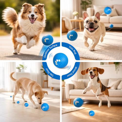 Smart Interactive Dog Ball for Aggressive Chewers, Self Moving Toy, E-TPU - color: Blue