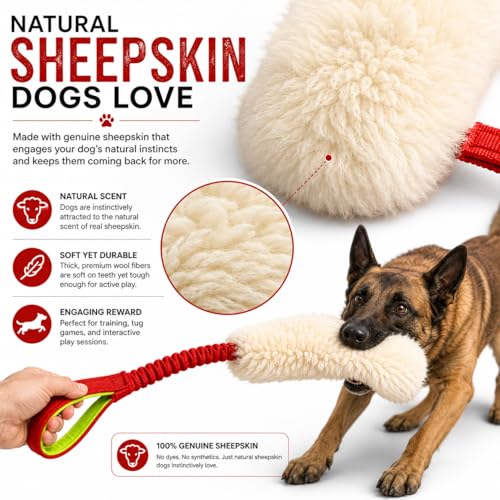 Sheepskin Dog Tug Toy with Bungee Handle – Genuine Sheepskin Training Toy for Dogs – Interactive Tug & Chase Toy for Recall, Agility & Obedience Training – 24" Long (Medium)