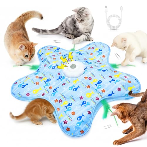 Interactive Touch Activated Hide and Seek Cat Toys for Indoor Cats, Blue - color: Blue