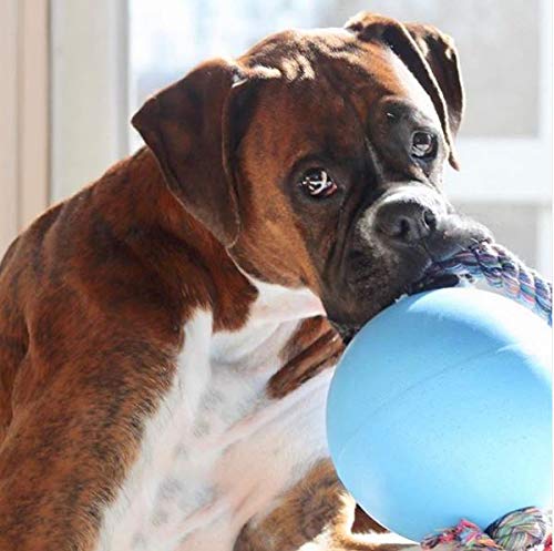Jolly Pets Romp-N-Roll Rope & Ball Dog Toy, 8 in Large, Blueberry - color: Blueberry, size: Large (8 in)