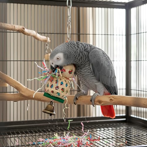 Bird Toys, 2pcs Set for Small & Medium Parrots