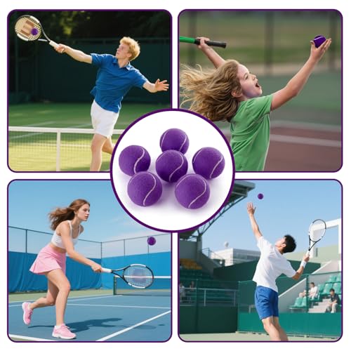 PHOEPET 6-Pack Tennis Balls for Beginner Training Practice- Bulk Dog Balls - color: Purple-6 Pack, size: Medium 2.5"- 6 Pack